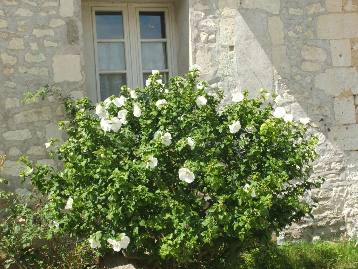 Manoir De La Rousselliere Aparthotel Loches Luaran gambar